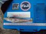 �N���b�N�Ŋg��\�� ( .jpg / 101.6KB )