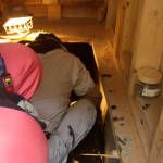 NbNŊg\ ( .jpg / 26.4KB )