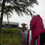 NbNŊg\ ( .jpg / 39.6KB )