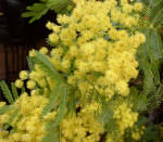 NbNŊg\ ( .jpg / 68.3KB )